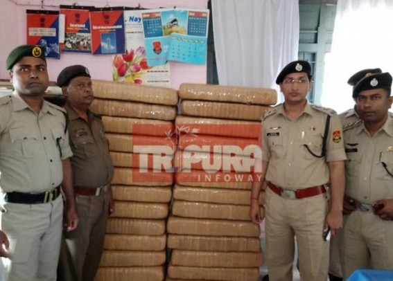 390 kg ganja seized, 1 arrested